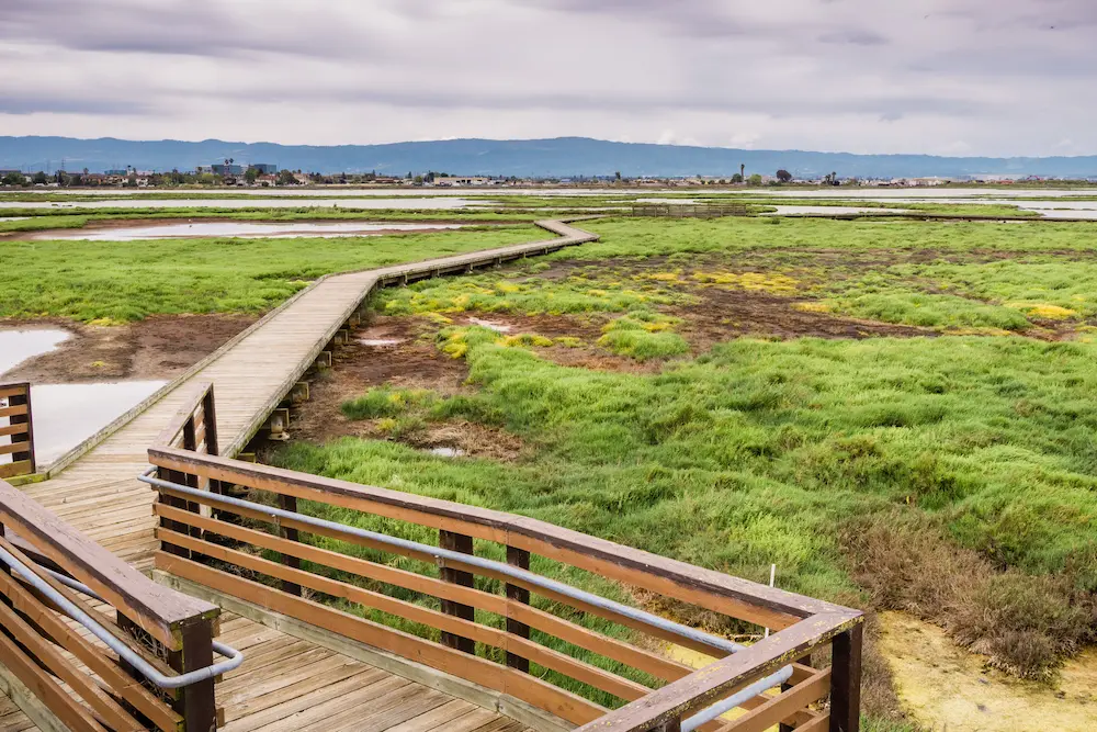 Wooden walking trail Wooden walking trail